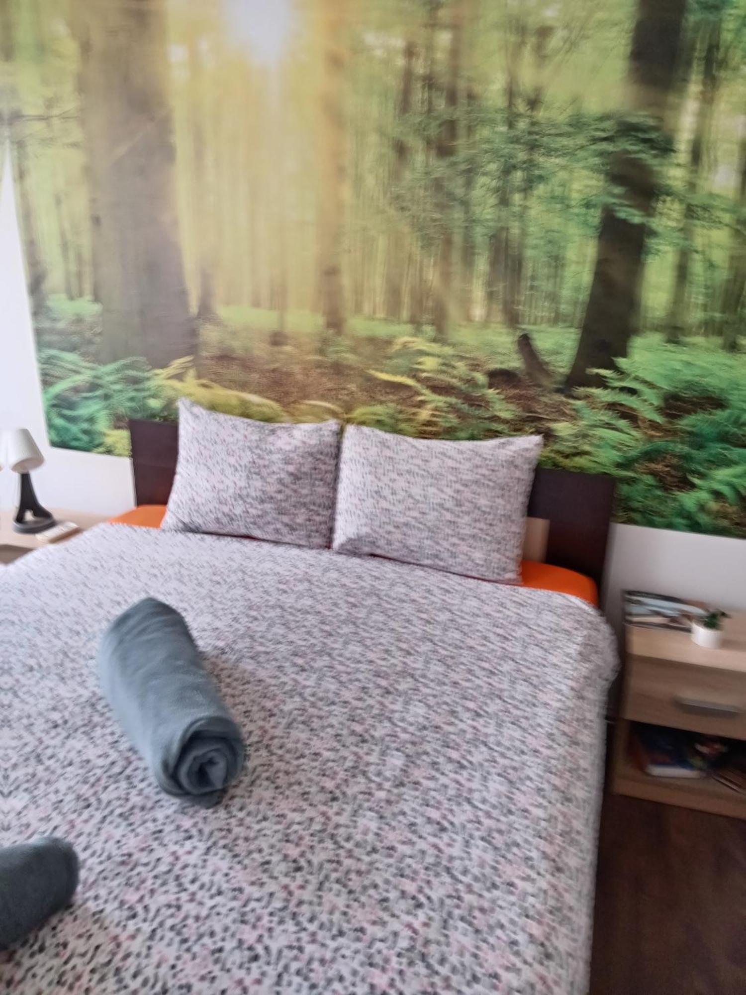 Car Lazar Apartment Βελιγράδι Εξωτερικό φωτογραφία
